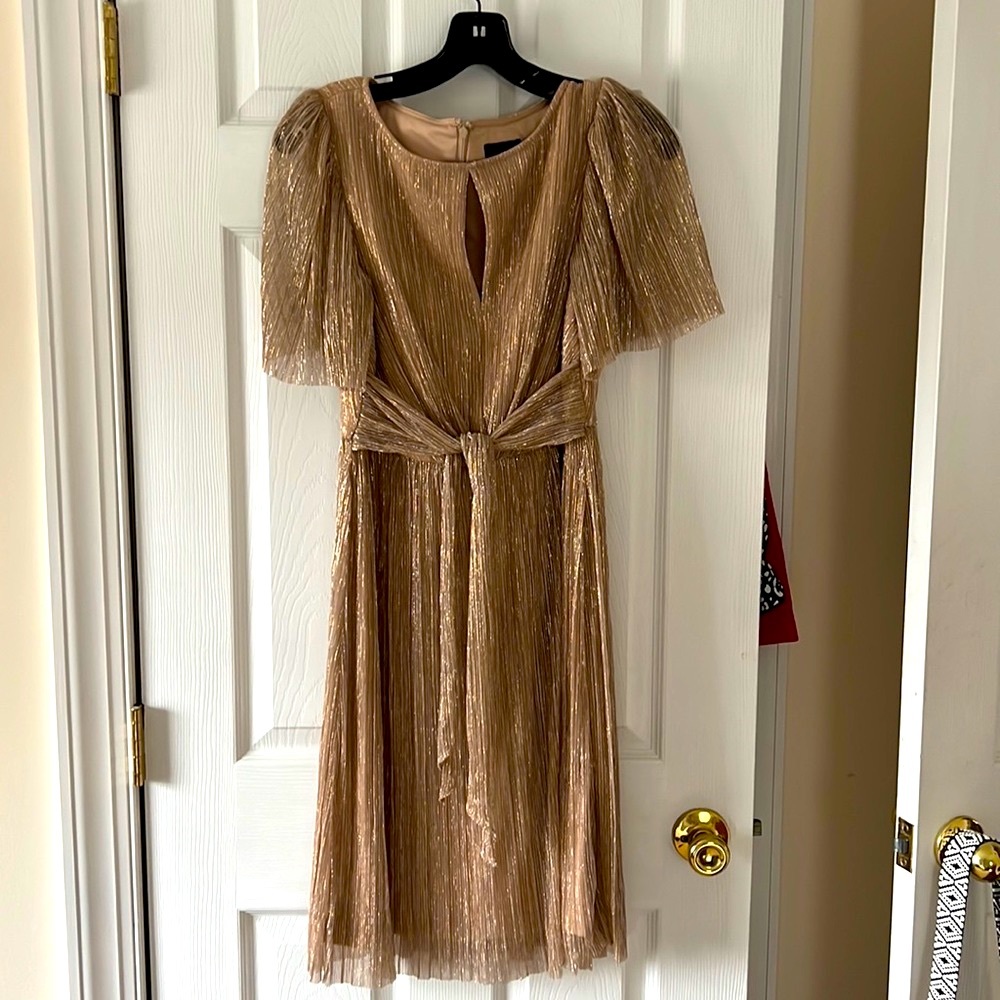 Beautiful Adrianna Papell dress never worn gold sparkles with sliver sparkle too